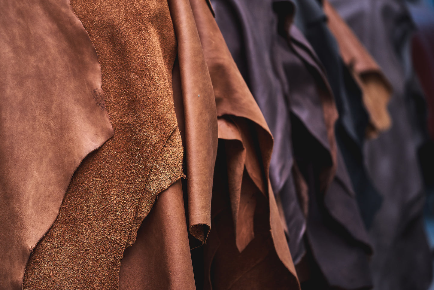 5 Surprising Facts About Leather