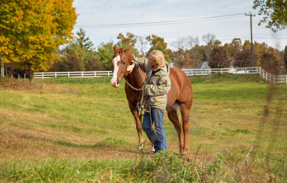 The Healing Power of Equine Therapy