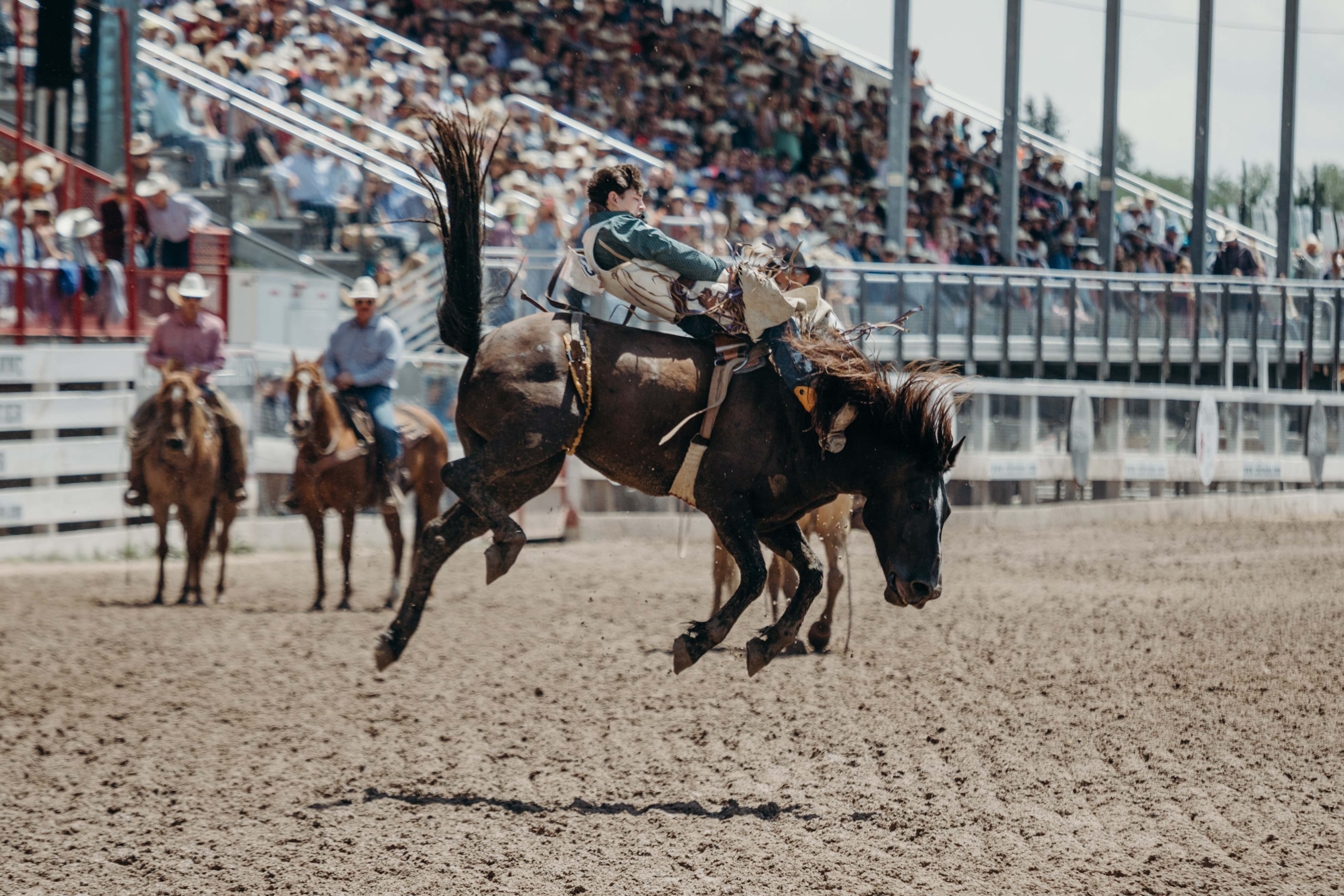 Who Uses Leather: Rodeo