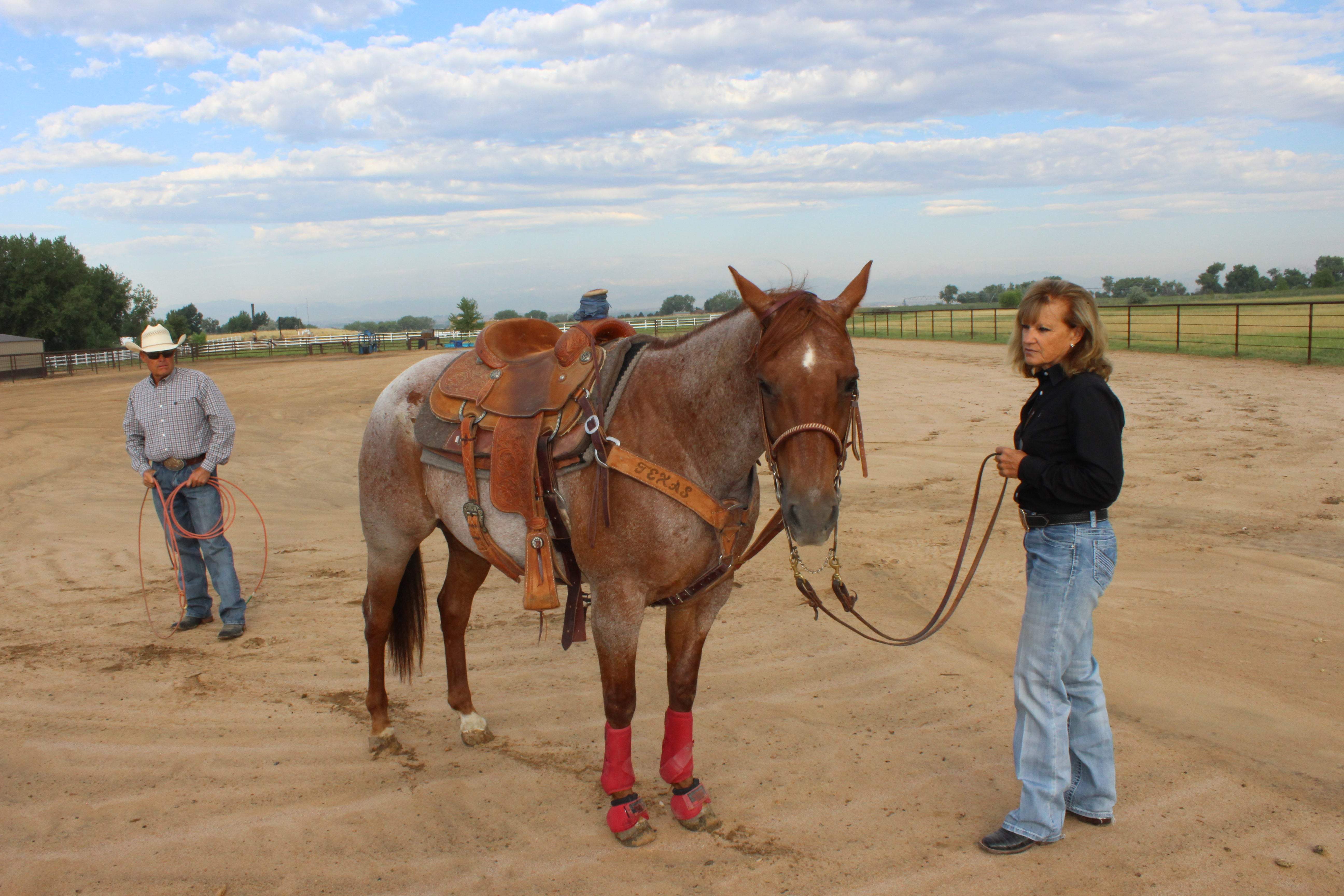 Horse Handmade Leather Tack