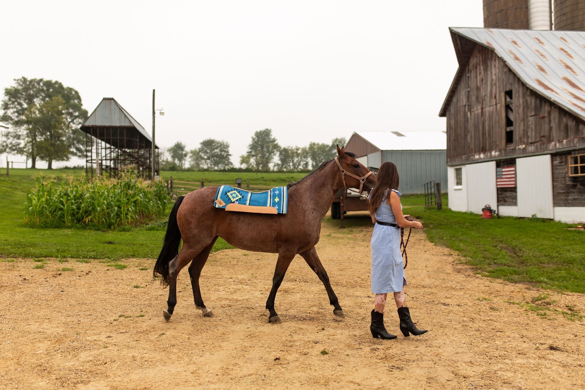 Saddle Pads & Blankets
