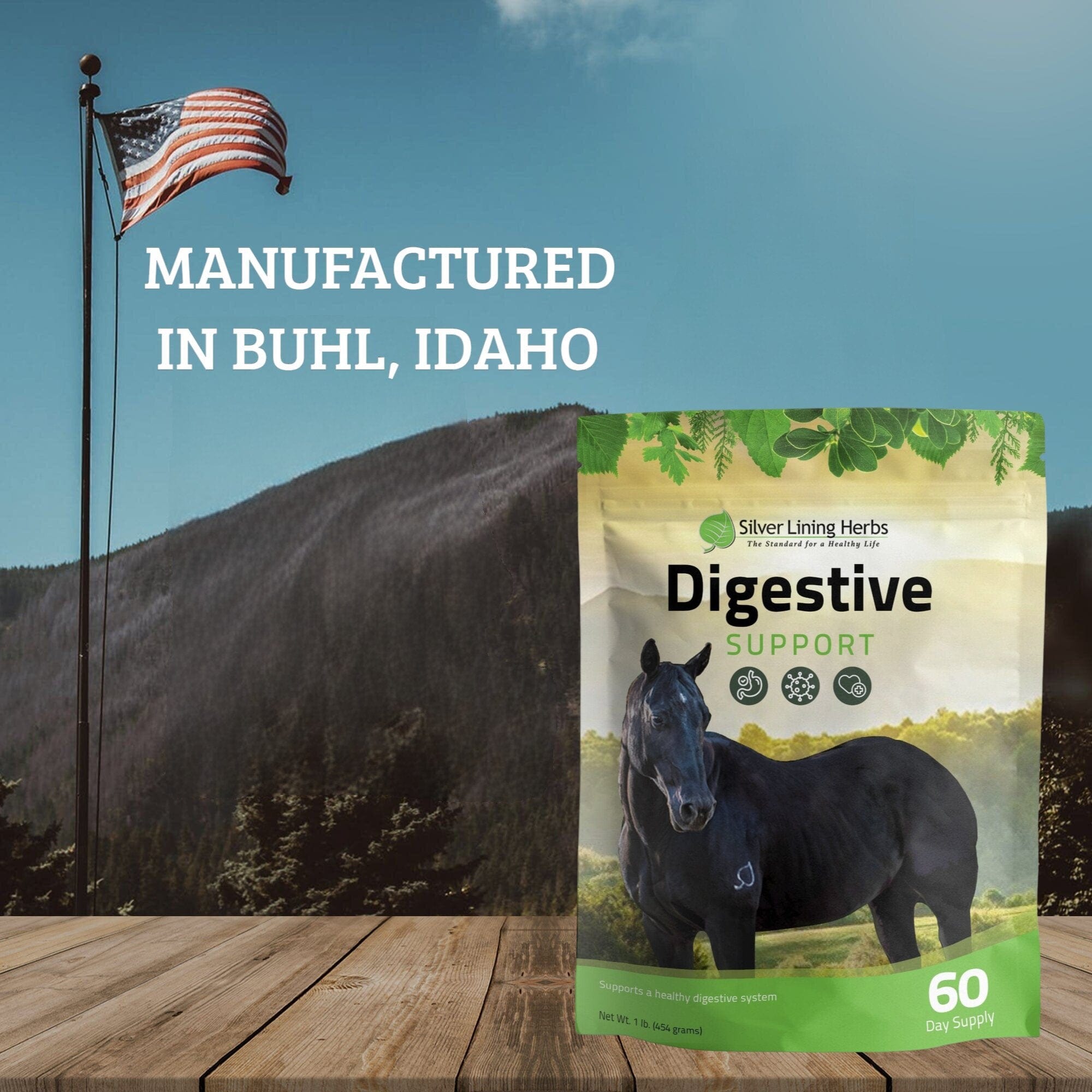 Horse Supplements