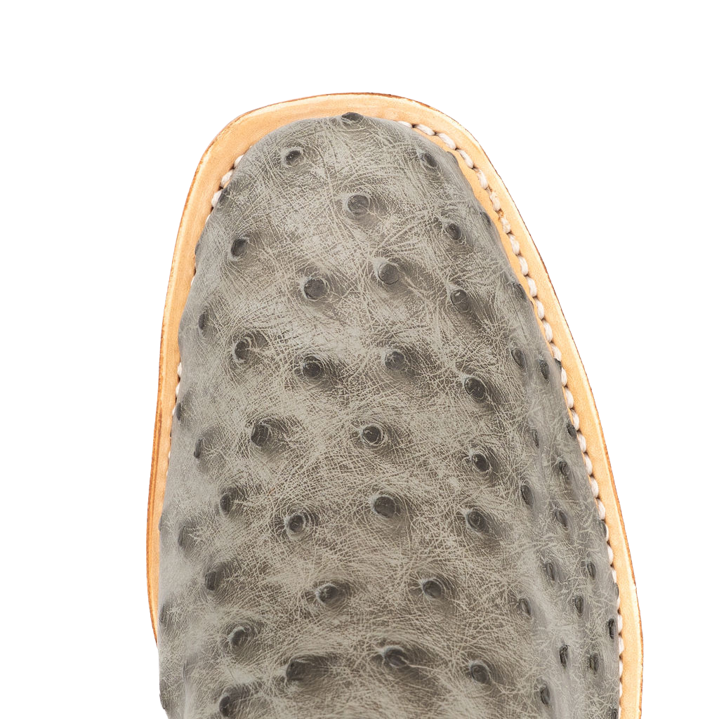 FQ Serpentine Ostrich w/Cabernet Barcelona No. 19191936