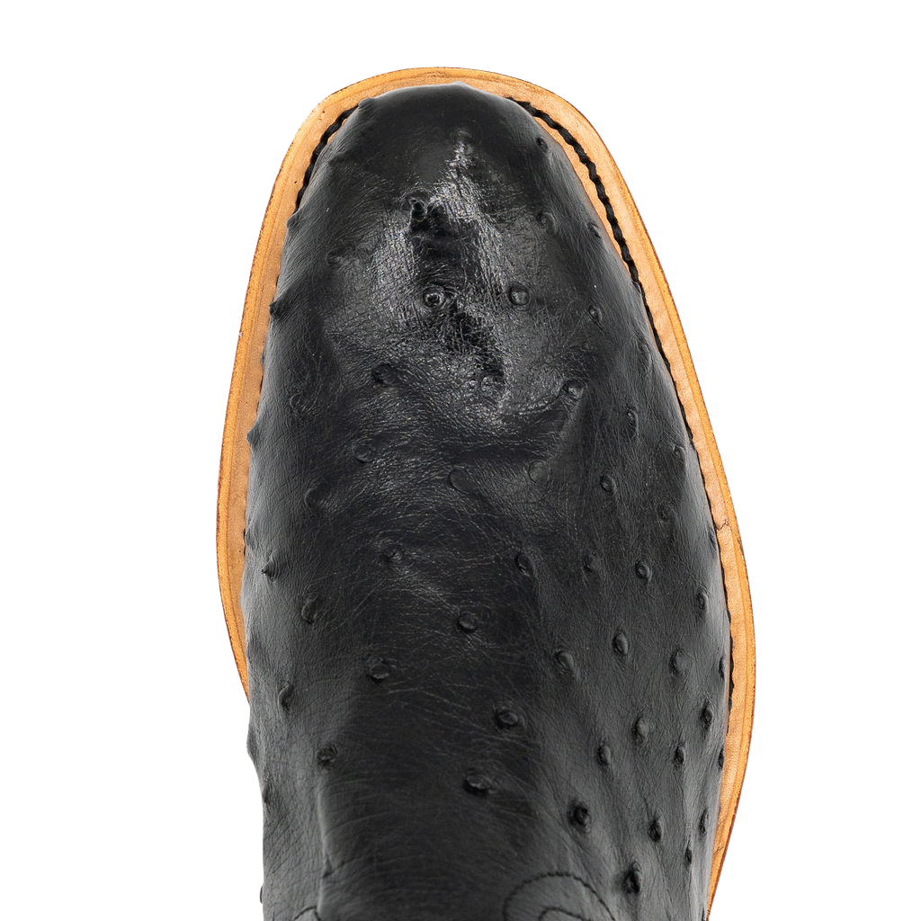 Black FQ Ostrich w/Black No. 19151911