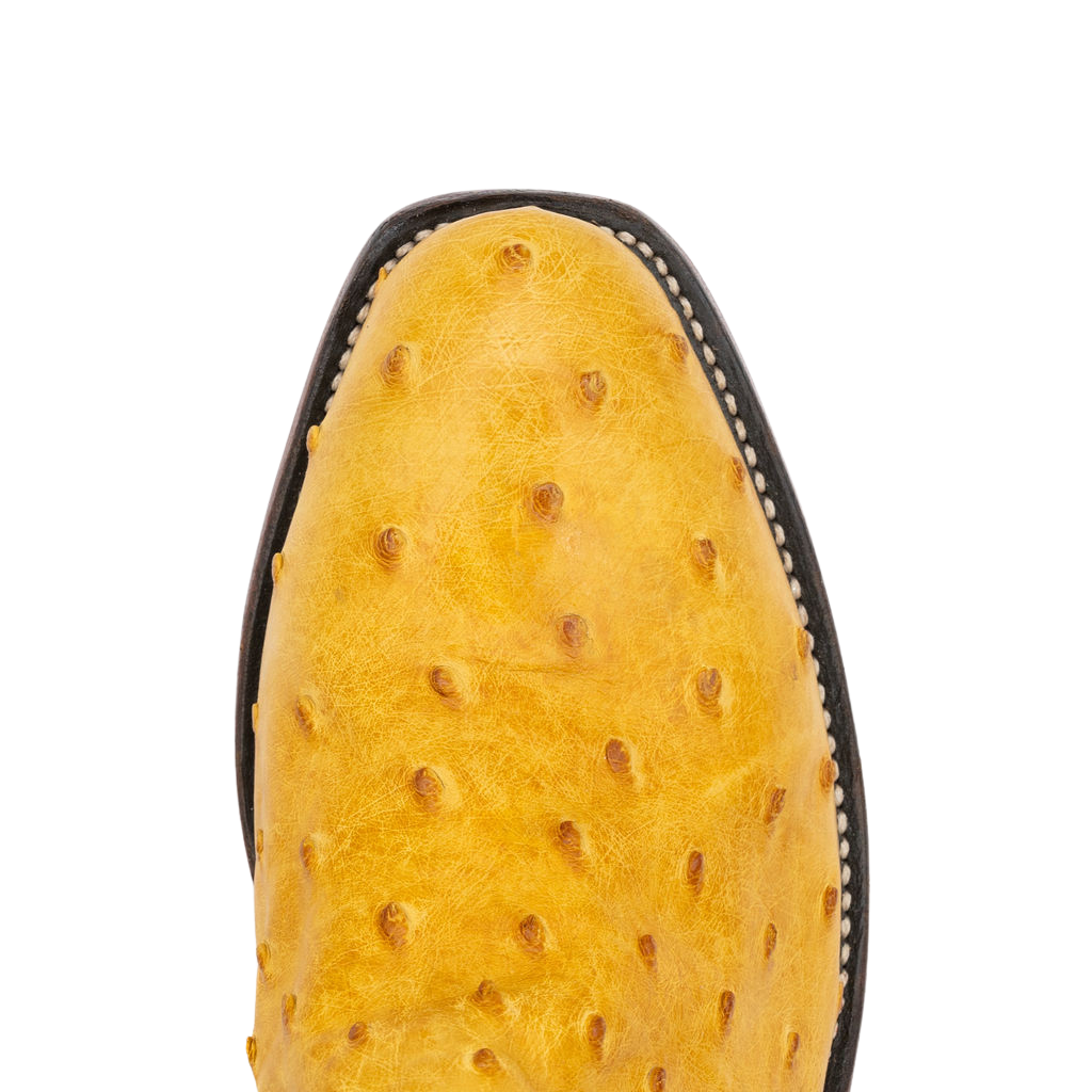 Buttercup Bruciato FQ Ostrich w/Cognac OPU Style No. 19741960