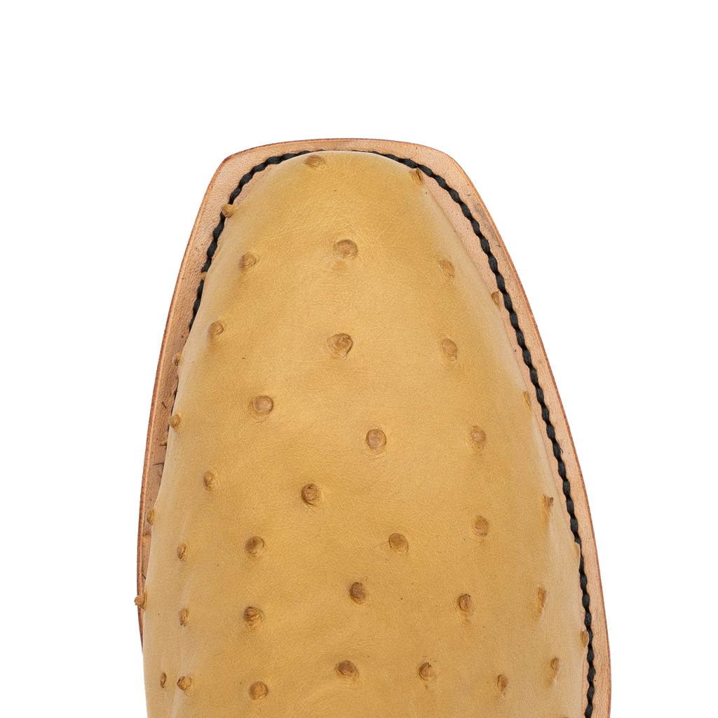 Antique Saddle SF FQ Ostrich w/Black Style No. 19401911