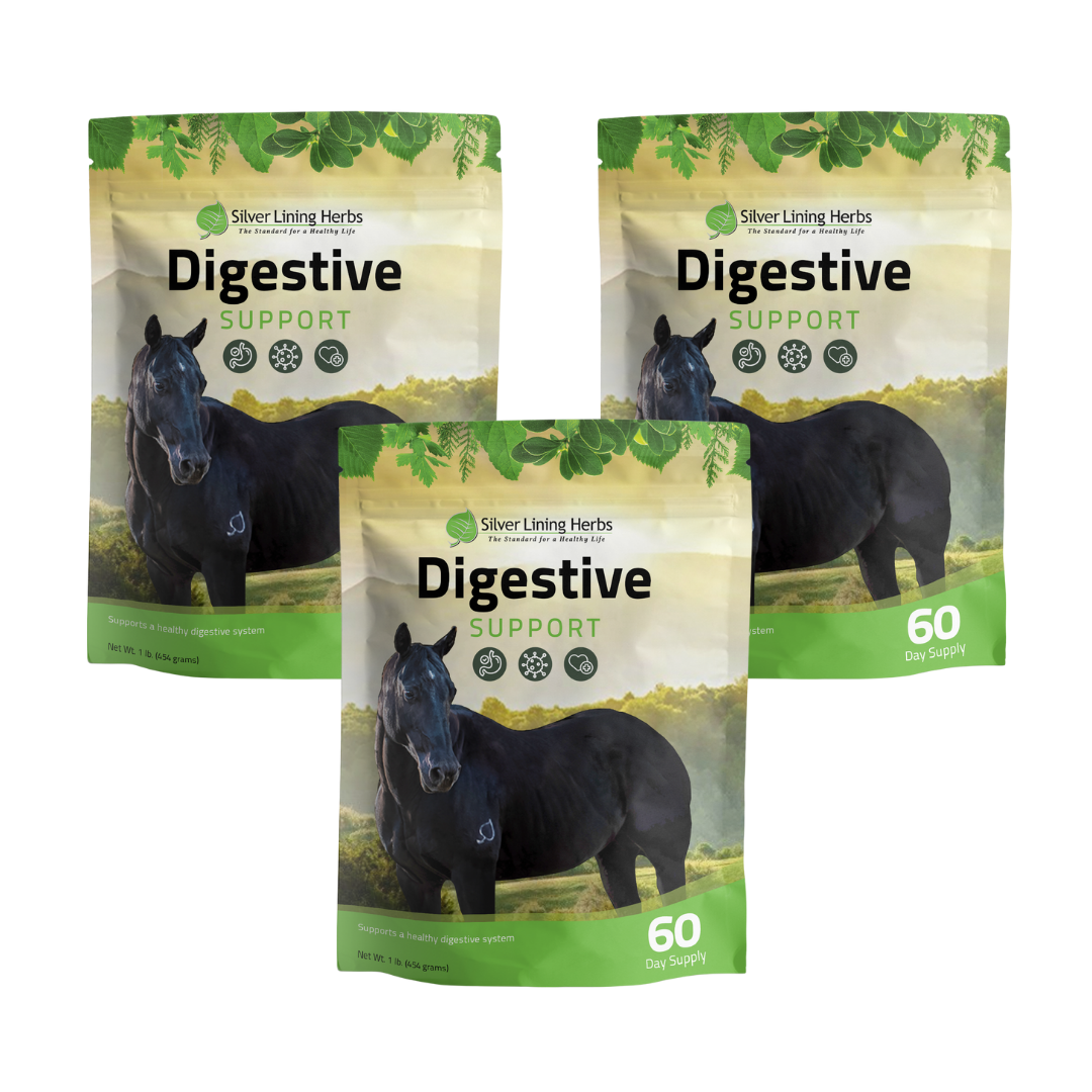 Digestive Support for Horses