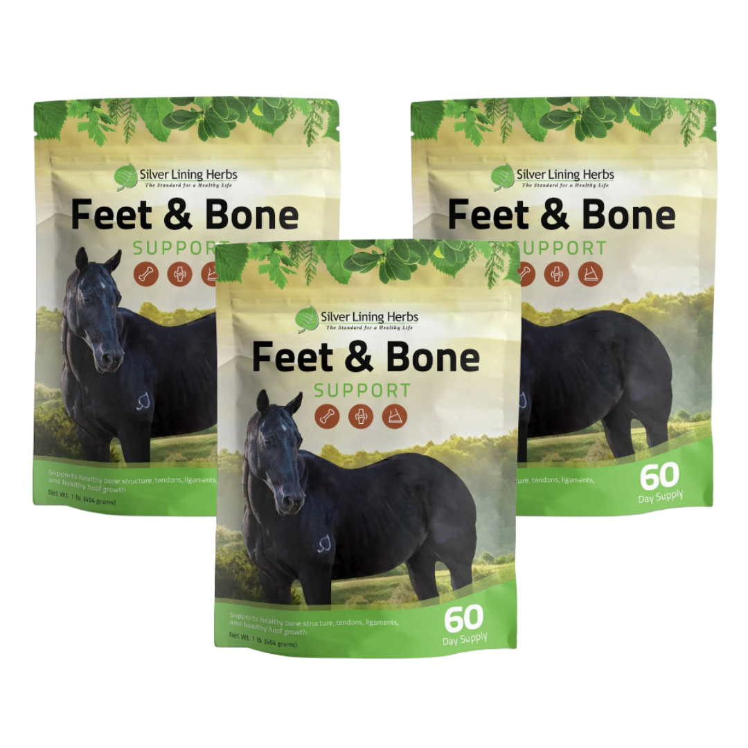 Feet & Bone Support for Horses