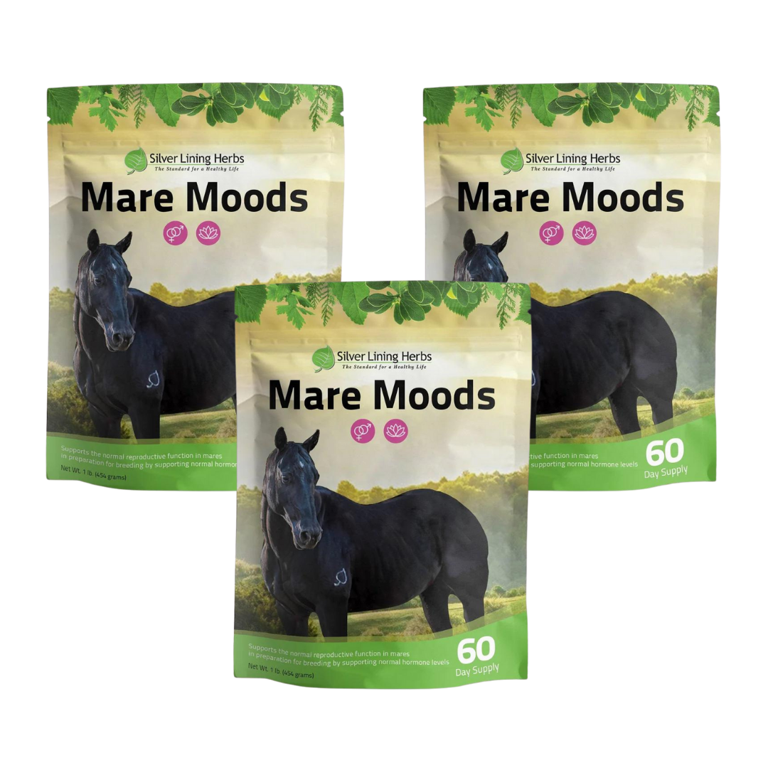Mare Moods For Horses