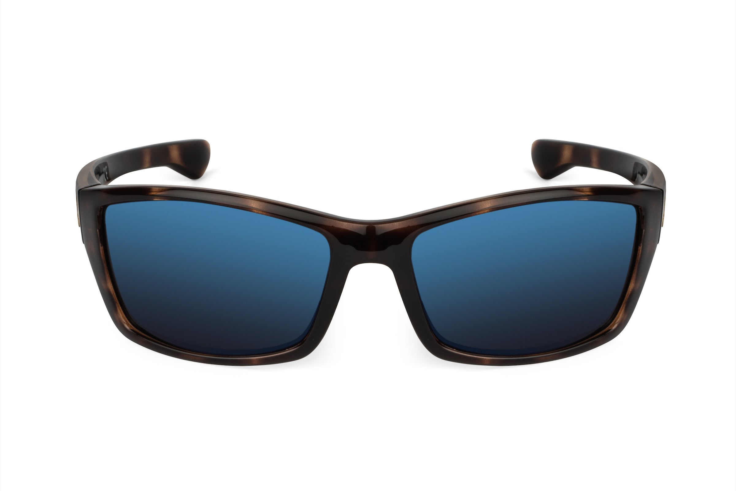 Scout - Tortoiseshell
