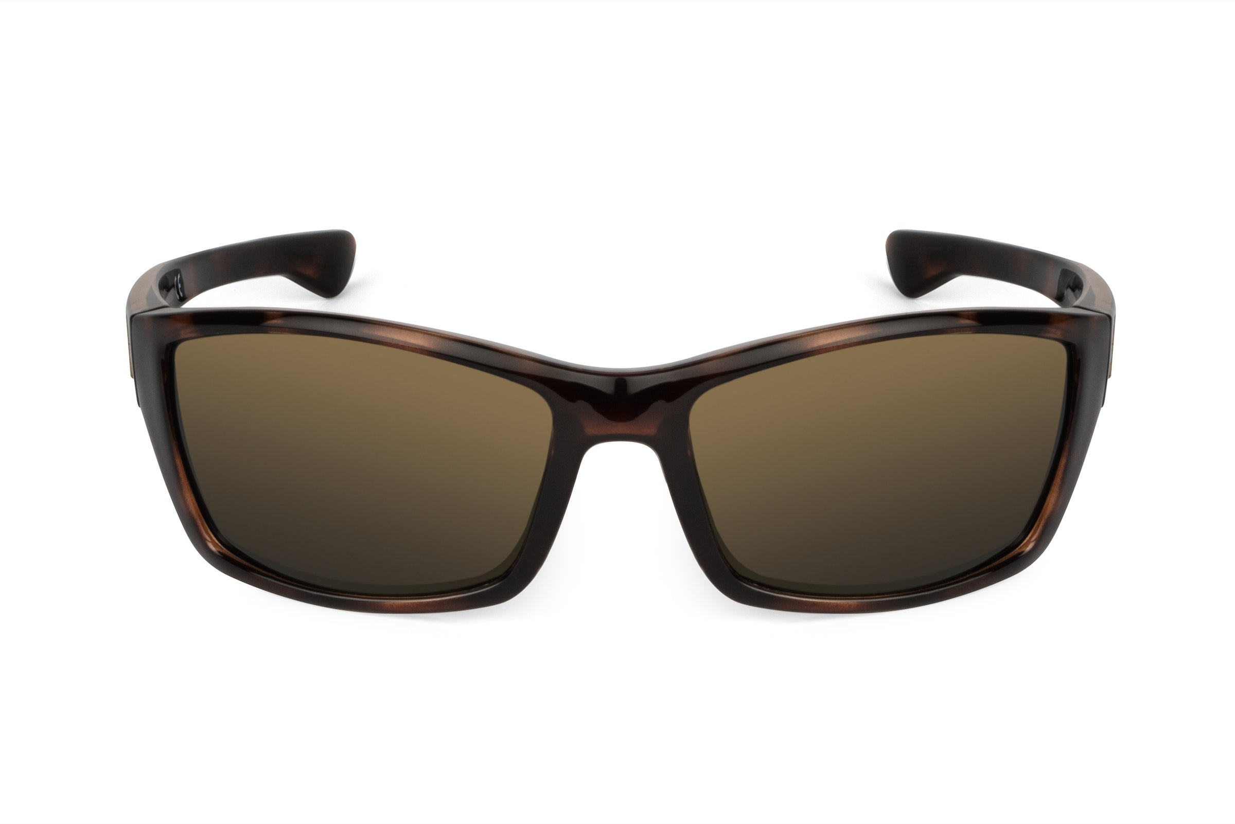 Scout - Tortoiseshell