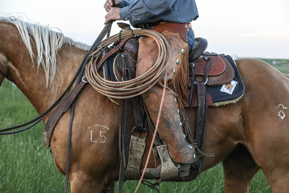 
                  
                    All-Around Rancher: Close Contact 1" Saddle Pad
                  
                