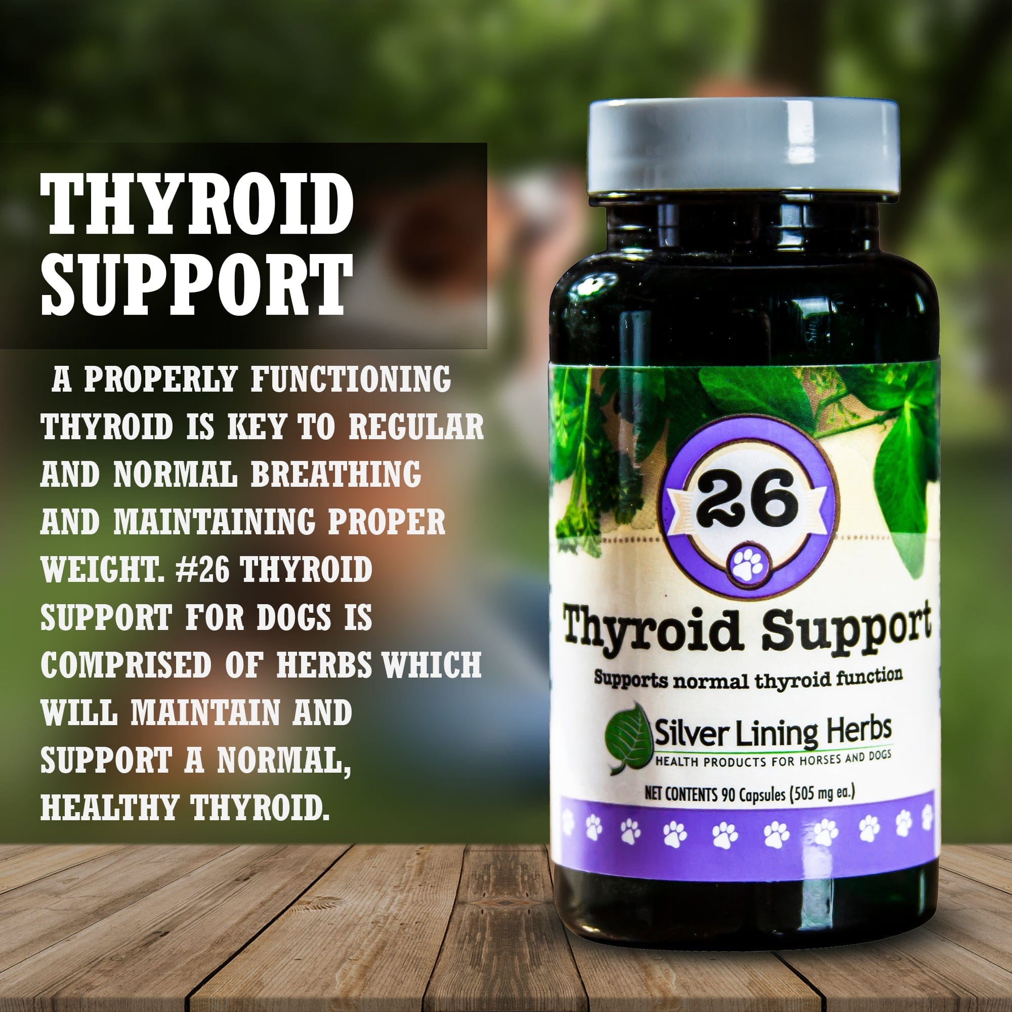 Thyroid Support for Canines – Texas Saddlery