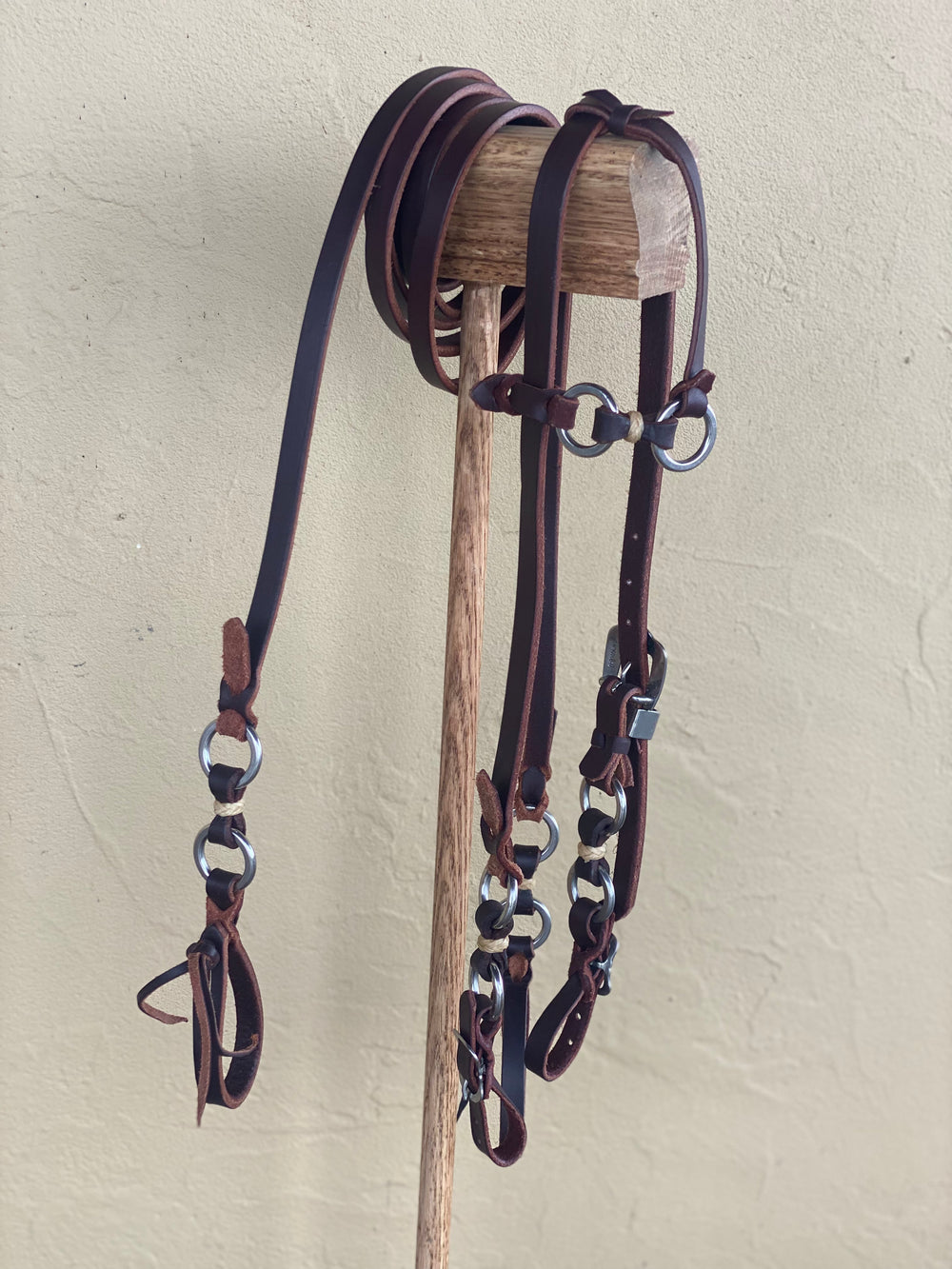 Ring Headstall and Rein Set