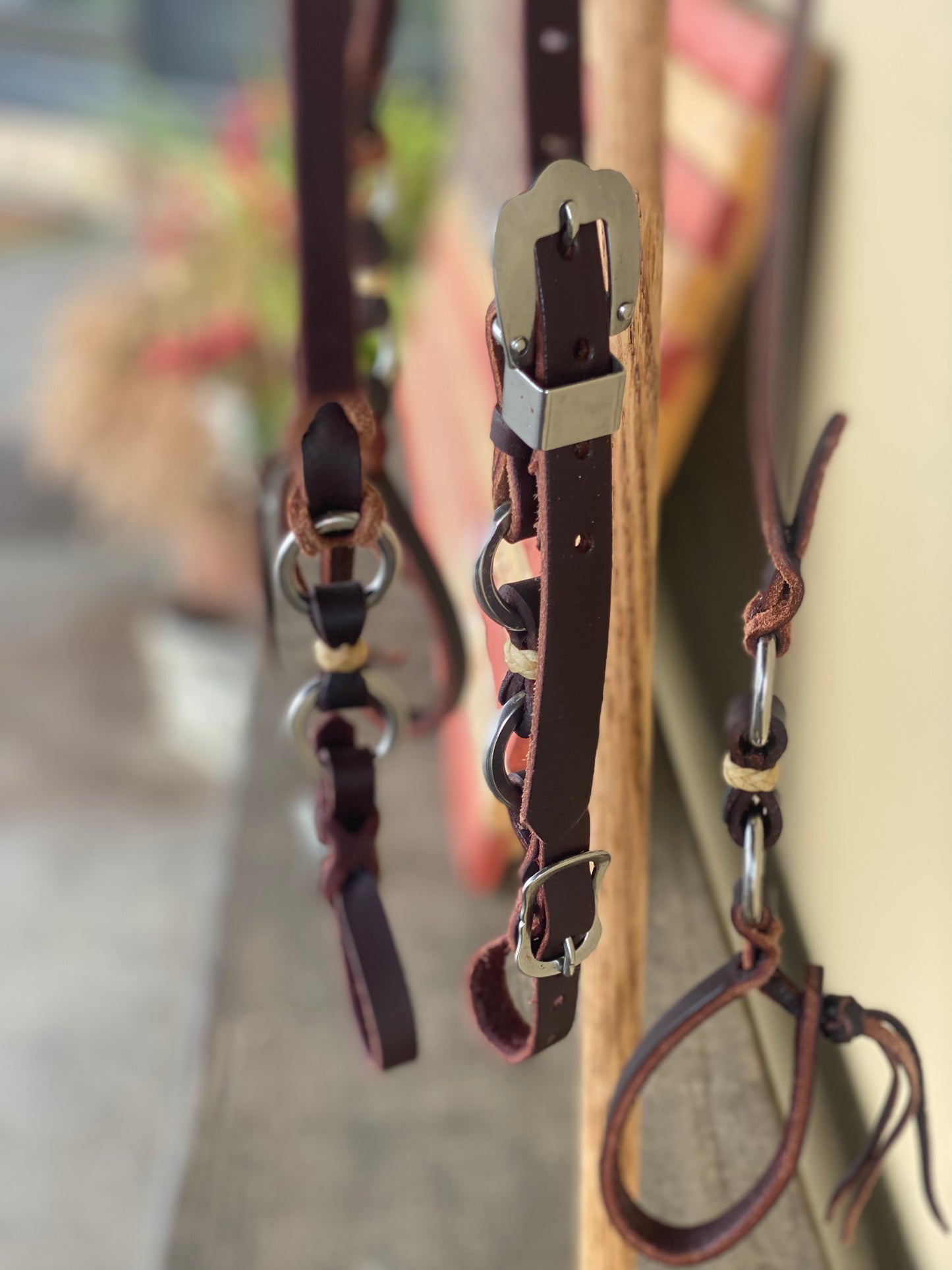 
                  
                    Ring Headstall and Rein Set
                  
                